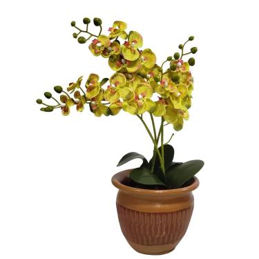 Imagem de Arranjo De Flores Orquídeas Amarelo No Vaso