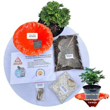 Imagem de Kit Bonsai Faça Você Mesmo Com Uma Muda De Tuia Anã - Vaso Artesanal L