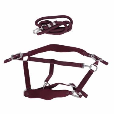 Imagem de Halter Halter Leheh Conjunto de treinamento Ajustável de treinamento acolchoado macio com alta resistência 2m Leash para passear diariamente para caminhar cavalos de treinamento (L)