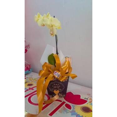 Imagem de Arranjo em orquídeas amarelas - Floricultura Flori 