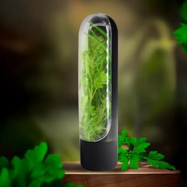 Imagem de Recipiente Saver Pod para geladeira, recipiente para coentro, salsa, espargos, livre de BPA, organizador de geladeira (preto)