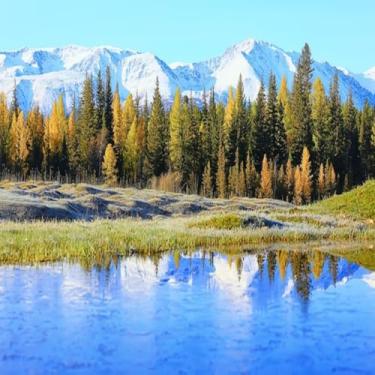 Imagem de Quadro Decorativo Paisagem Outonal com Árvores e Rio | Arte de Parede Natural e Elegante Tamanho 30x30cm