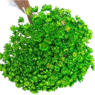 Imagem de Buquê de 300 Florzinhas, Sempre Viva e Mosquitinhos, Decorativo para Casa e Festas(Verde Claro)