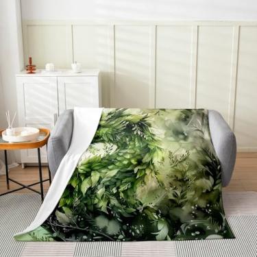 Imagem de jejeloiu Cobertor de flanela de dragão verde para bebês 76 cm x 101 cm cobertor de pelúcia infantil com folha de dragão ocidental para meninos meninas adolescentes tema fantasia folhas, todas as