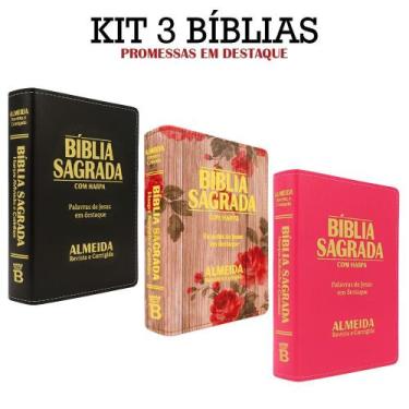 Imagem de Kit 3 Bíblias Sagrada Letra Grande - Luxo Variadas - Harpa - REI DAS B