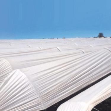 Imagem de Plástico Filme leitoso para túnel 2,20 x 500 77 kg 75 micras - Negreir