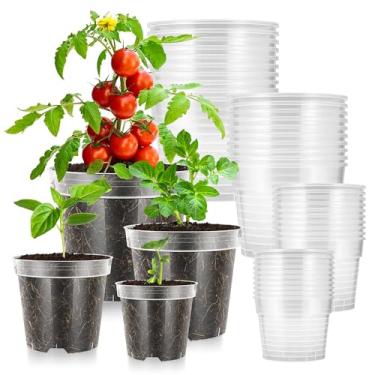 Imagem de VIVOSUN Vasos de berçário transparentes reforçados, 9,5 cm, pacote com 40