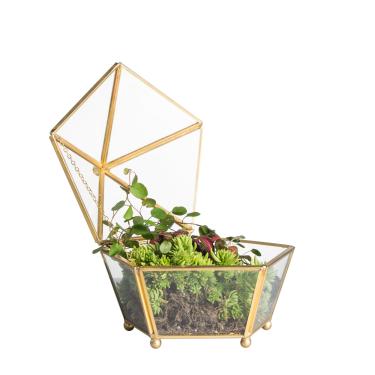 Imagem de NCYP Vintage Decorative Jewelry Chest Geometric Terrarium Window Box Storage Display Case Pentagon Shape Clear Glass and Brass Tone Air Plant Planter Geo Metal Slanted Top Swing Lid