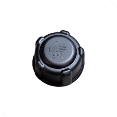 Imagem de Tampa Reservatorio Água Radiador Renault Fluence Todos Anos