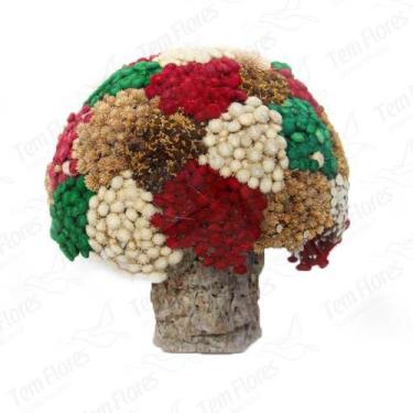 Imagem de Arranjo Bola Grande Artesanal Desidratado Flores Secas - Branca Rosa A