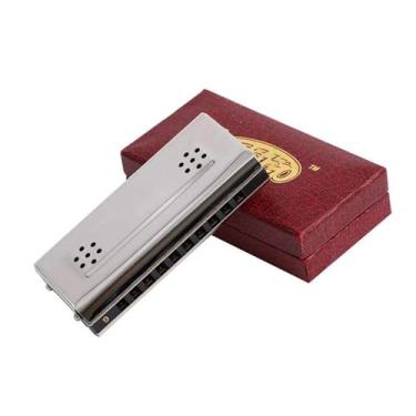 Imagem de Gaita profissional 10 16 24 furos C e G gaita dupla face tremolo (10 furos)