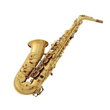 Imagem de Instrumento de saxofone Instrumento de Sopro de Madeira Profissional Alto E Flat com Saxofone Adequado para Iniciantes e Adultos