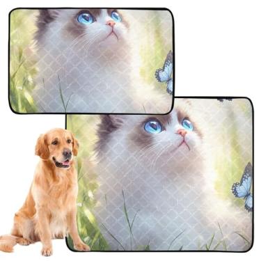Imagem de TSENQUE Cute Kitten Ragdoll Cat Almofadas laváveis para cães gatos reutilizáveis para animais de estimação almofada absorvente cães treinamento penico impermeável gaiola tapete fofo, pequeno x pacote