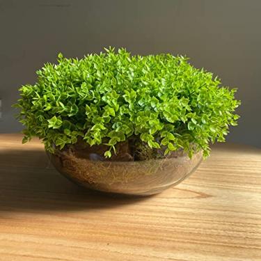 Imagem de Arranjo Grande Centro de Mesa Vaso Incolor com Verdinho