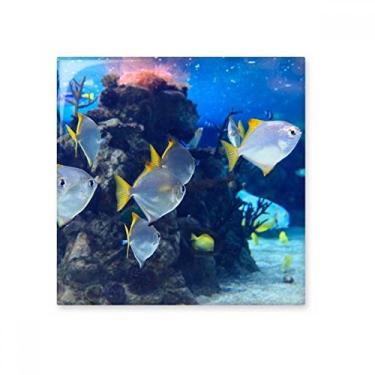 Imagem de Pedra adorna de tijolos vitrificados com imagem da natureza da ciência do oceano