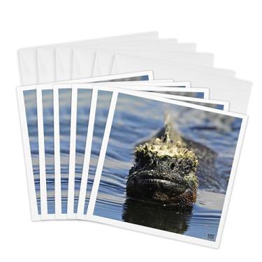 Imagem de 3dRose Marine iguana, Amblyrhynchus cristatus, em Punta Espinosa Ilha Fernandina Galápagos - Cartões comemorativos, 15 x 15 cm, conjunto de 6 (gc_10128_1)