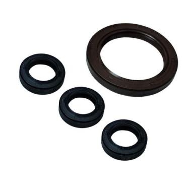 Imagem de Kit Reparo Retentor do Pistão e Retentor Lateral para Lavadoras WAP