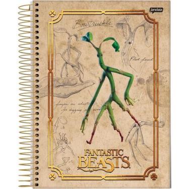 Imagem de Caderno Jandaia universitário fantastic beasts 160 folhas