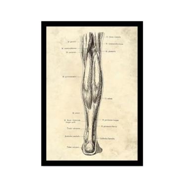 Imagem de Arte vintage anatomia do corpo humano imagens médicas parede esqueleto órgão músculo pintura em tela pôsteres impressões decoração de sala de clínica (SKU6,20.3x30.5 cm = (20x30cm), moldura preta para