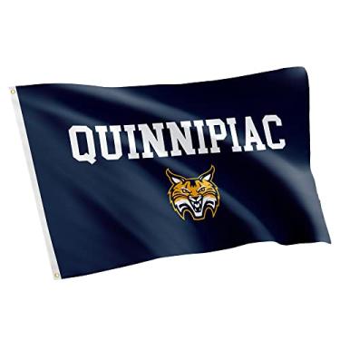 Imagem de Bandeira de 1,8 m x 1,52 m para uso interno e externo com estampa de cacto no deserto da Universidade de Quinnipiac NCAA