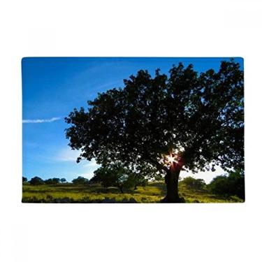 Imagem de DIYthinker Tapete antiderrapante para porta de banheiro com cenário da natureza da ciência verde florestal