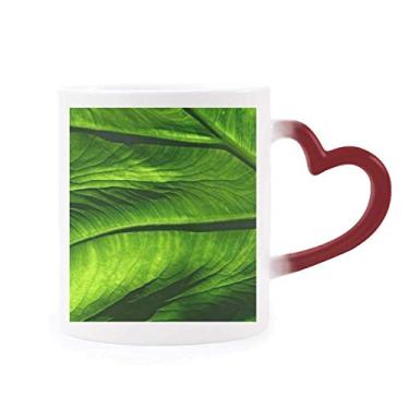 Imagem de Caneca de flor de banana com imagem de planta sensível ao calor Caneca vermelha que muda de cor