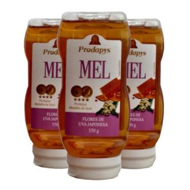 Imagem de Bisnaga 550g de Mel Flores de Uva Japonesa Kit com 3 - Prodapys