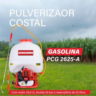 Imagem de Pulverizador Costal Gasolina Motor 2 Tempos 25 Litros - Kawashima