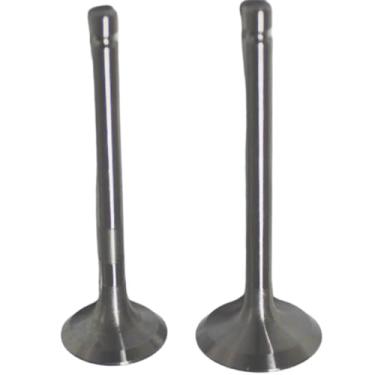 Imagem de Válvula Motor Diesel Ar 4Hp Chaveta Fina (Par)