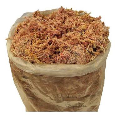 Imagem de Musgo Seco Sphagnum Sphagno Vermelho Para Orquídeas Plantas Flores Bon