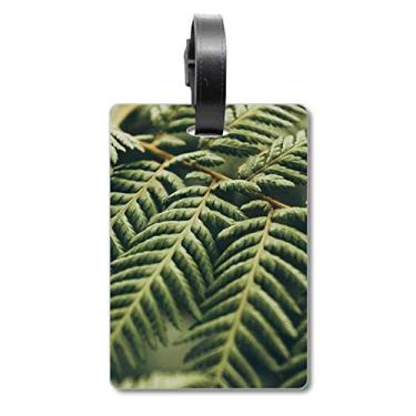 Imagem de Folhas para fotografia de plantas com imagem de natureza, mala, etiqueta para cartão de bagagem