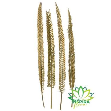 Imagem de 4 Folhas De Palmeira Fina Trabalhada Alvejada Decoração - INSPIRA FLOR