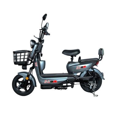 Imagem de Bicicleta Elétrica - Classic PAM - 800w Lithium - Cinza - Plug and Move