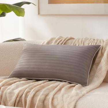 Imagem de Richtry Almofada de espuma viscoelástica 40,6 x 66 cm, enchimento de almofada lombar premium para almofada decorativa, sala de estar, sofá e sofá, 40,6 x 66 cm, cinza