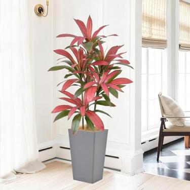 Imagem de Árvore Dracaena artificial de 1,52 m – Árvore Dracaena sintética de 152 cm com plantador cinza, tronco realista e folhagens vermelhas realistas, planta tropical alta em vaso para casa, escritório