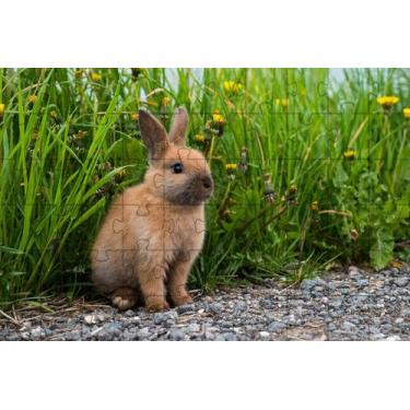 Imagem de 4 Quebra-Cabeças Coelhos Diversão Inclusiva e Inteligente 24 peças gra
