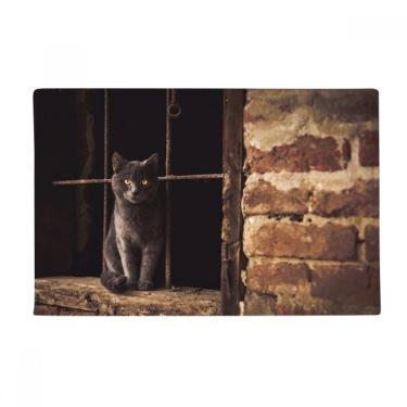 Imagem de DIYthinker Tapete antiderrapante para porta de banheiro com foto de gato de canto de animal