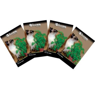 Imagem de FELTRIN, 4X Sementes de Erva dos Gatos Catnip FELTRIN