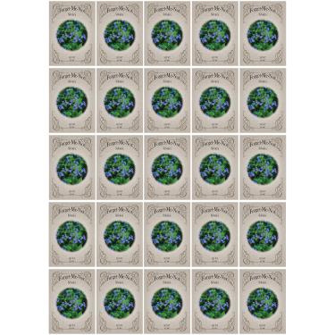 Imagem de Black Duck Brand Conjunto de 25 pacotes de pacotes de sementes de flores "Forget-Me-Noth"! Sementes de flores a granel - Ótimo para criar o jardim dos seus sonhos! (25, Forget-Me-Not Blue)