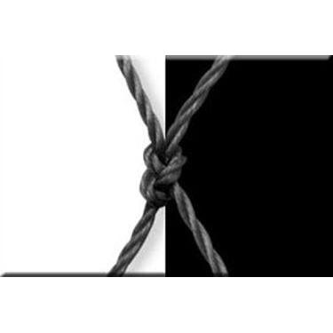 Imagem de Kit De Redes De Proteção Para Crianças E Gatos 2.60x8.00 - Luana Redes