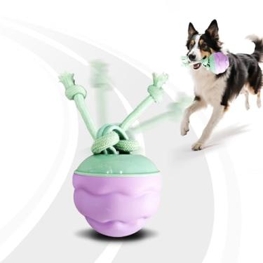 Imagem de Zelunika Brinquedos interativos para cães [Atualização 2025] – Bola inteligente para cães, rolagem automática ativada por movimento, caminho aleatório, sons estridentes, luz LED recarregável USB-C