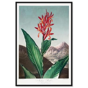 Imagem de Art Remedy Tela de impressão botânica, 25,4 cm x 38,1 cm, moldura preta, palheta indiana 1807