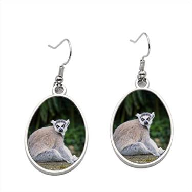 Imagem de Brinco de lêmure com cauda de anel na floresta - Brincos pendentes para meninas - Presente de festa de aniversário dos namorados