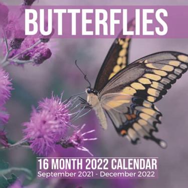 Imagem de Butterflies 16 Month 2022 Calendar September 2021-December 2022: Butterfly Square Photo Date Book Monthly Pages 8.5 x 8.5 Inch
