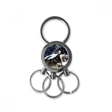 Imagem de Chaveiro de metal de aço inoxidável com imagem de cachorro de boca grande chaveiro de carro chaveiro clipe presente, Multicor