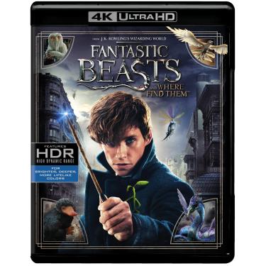 Imagem de Fantastic Beasts and Where to Find Them (4K Ultra HD + Blu-ray )