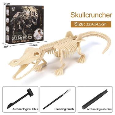 Imagem de Brinquedo de dinossauro montado diy infantil Arqueologia Esqueleto fóssil de dinossauro