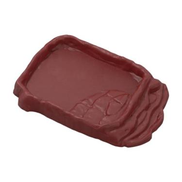 Imagem de Dualoai Réptil Bowl Bowl Bathing Pool Plate de alimentação Anti Slip Habitat Anfíbio Plato de alimentação para lagartos Decoração de terrário de hamster, M