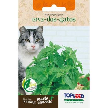 Imagem de Semente Erva-Dos-Gatos C026 Topseed