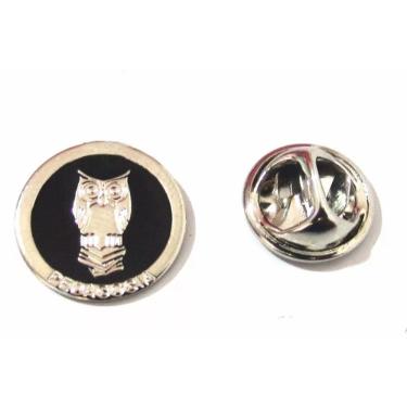 Imagem de Broche Pedagogia Professora Coruja Folheado Níquel